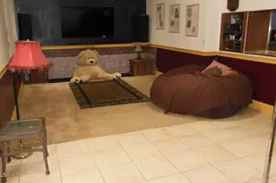 1627 E Fremont Dr, Tempe, AZ 85282 - Photo 7