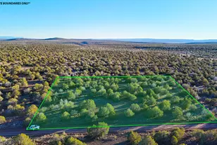 3592 W Betty Jo Wy, Williams, AZ 86046 - Photo 1
