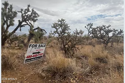 18290 N Smoke Drive #220, Dolan Springs, AZ 86441 - Photo 11