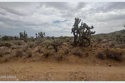 18290 N Smoke Drive #220, Dolan Springs, AZ 86441 - Photo 9