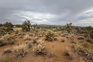 18290 N Smoke Dr, Dolan Springs, AZ 86441 - Photo 1