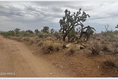 18290 N Smoke Drive #220, Dolan Springs, AZ 86441 - Photo 17
