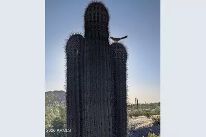 9750 S San Marcos Drive E #72, Goodyear, AZ 85338 - Photo 13