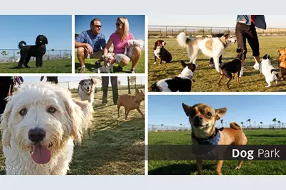 5769 N Oak Creek Drive, Eloy, AZ 85131 - Photo 17