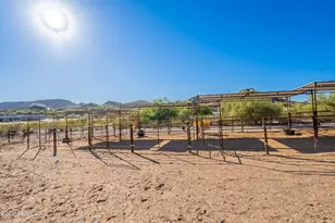 1902 E Cortez St, Phoenix, AZ 85020 - Photo 53