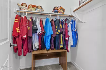 2466 E Aris Drive, Gilbert, AZ 85298 - Photo 49