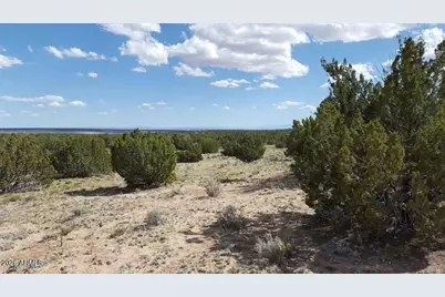 Lot 227 Red Sky Ranch -- #227, Saint Johns, AZ 85936 - Photo 11