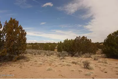 Lot 227 Red Sky Ranch -- #227, Saint Johns, AZ 85936 - Photo 15
