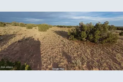 Lot 227 Red Sky Ranch -- #227, Saint Johns, AZ 85936 - Photo 3