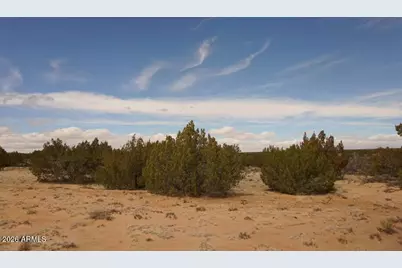 Lot 227 Red Sky Ranch -- #227, Saint Johns, AZ 85936 - Photo 5