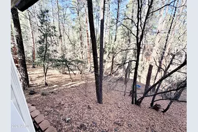6870 W Robbin Lane, Pine, AZ 85544 - Photo 33