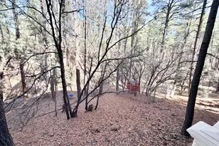 6870 W Robbin Ln, Pine, AZ 85544 - Photo 33