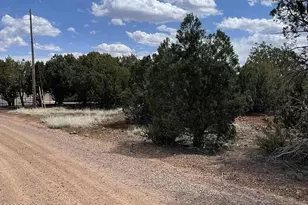 1879 Turkey Flat Pl, Show Low, AZ 85901 - Photo 1