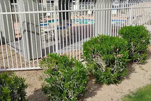 2929 W Yorkshire Dr, Phoenix, AZ 85027 - Photo 9