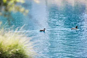 1741 S Clearview Ave, Mesa, AZ 85209 - Photo 43