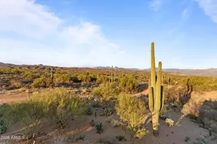 14305 E Carefree Hwy, Scottsdale, AZ 85262 - Photo 35