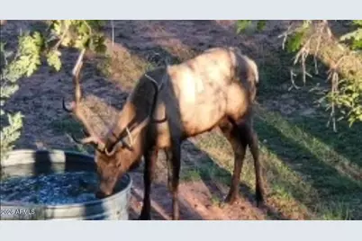 6405 W Pine Cone Trail, Pine, AZ 85544 - Photo 63