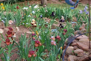 6405 W Pine Cone Trail, Pine, AZ 85544 - Photo 61