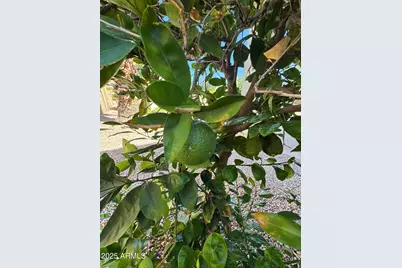 29402 W Columbus Avenue, Buckeye, AZ 85396 - Photo 49