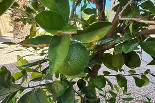 29402 W Columbus Ave, Buckeye, AZ 85396 - Photo 49