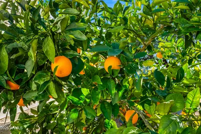 2695 W Pinto Place, Wickenburg, AZ 85390 - Photo 63