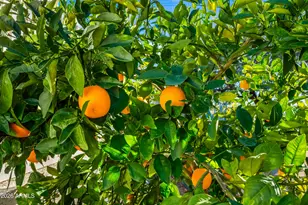 2695 W Pinto Pl, Wickenburg, AZ 85390 - Photo 63