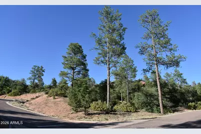 Lot 19 E Pine Ridge Drive #19, Star Valley, AZ 85541 - Photo 1
