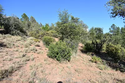 Lot 19 E Pine Ridge Drive #19, Star Valley, AZ 85541 - Photo 3