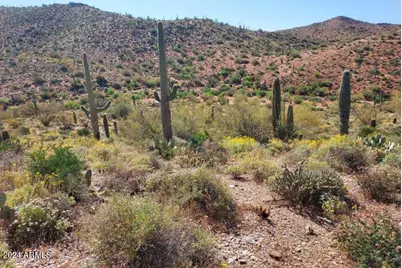 0 E Hardt Tank Road #004L Also known as B, Queen Valley, AZ 85118 - Photo 1