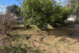 2136 E Lemon St, Tempe, AZ 85281 - Photo 17