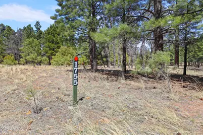 1755 Sugar Pine Drive #232, Happy Jack, AZ 86024 - Photo 5