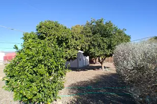 234 W Morris Dr, Queen Valley, AZ 85118 - Photo 23