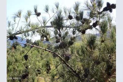 4303 E Cactus Road #419, Phoenix, AZ 85032 - Photo 7