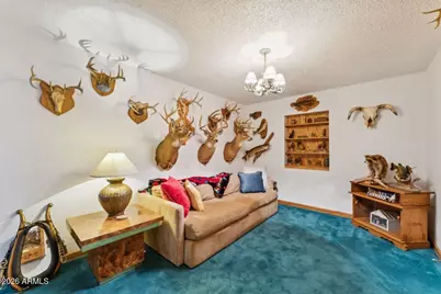 1038 E Friar Avenue, Apache Junction, AZ 85119 - Photo 15