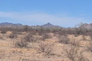 51405 W Pampas Grass Rd, Maricopa, AZ 85139 - Photo 1