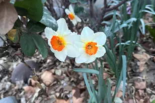 4190 E Sparkling Ln, Camp Verde, AZ 86322 - Photo 25