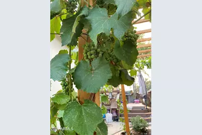 4190 E Sparkling Lane, Camp Verde, AZ 86322 - Photo 23