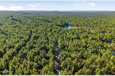 8574 East Lane, Pinetop, AZ 85935 - Photo 41