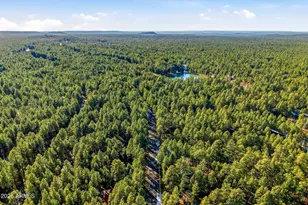 8574 East Ln, Pinetop, AZ 85935 - Photo 41