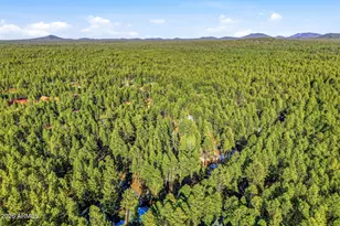 8574 East Ln, Pinetop, AZ 85935 - Photo 39