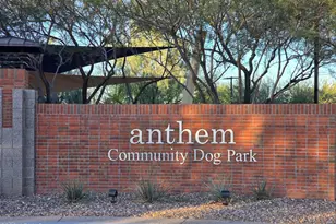 2494 N Petersburg Dr, Florence, AZ 85132 - Photo 47