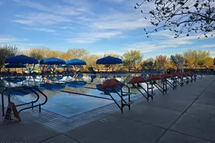 2494 N Petersburg Dr, Florence, AZ 85132 - Photo 51