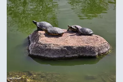 2494 N Petersburg Drive, Florence, AZ 85132 - Photo 59