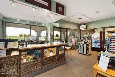 24413 S Ribbonwood Drive, Sun Lakes, AZ 85248 - Photo 19