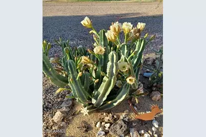 2565 N Calle Noveno --, Huachuca City, AZ 85616 - Photo 37