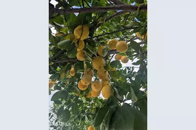 120 N Val Vista Drive #132, Mesa, AZ 85213 - Photo 23