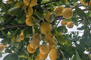 120 N Val Vista Dr, Mesa, AZ 85213 - Photo 23