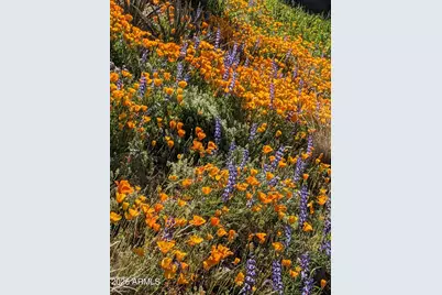 9706 E Chuckwagon Lane, Scottsdale, AZ 85262 - Photo 55