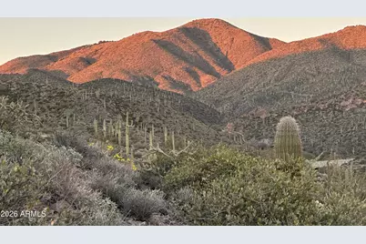 43252 N Chiricahua Pass Pass #347, Scottsdale, AZ 85262 - Photo 1