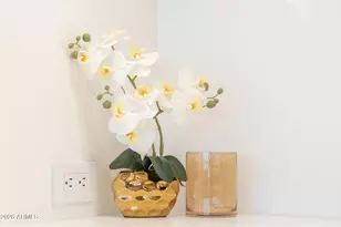 6587 N Palmeraie Blvd, Paradise Valley, AZ 85253 - Photo 29